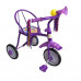 Велосипед триколісний Tilly Trike T-311